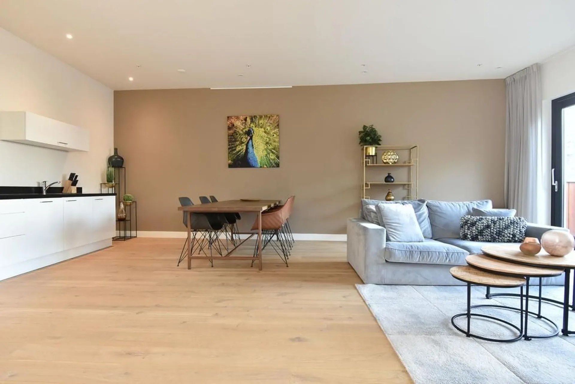 Foto #5 Appartement Bagijnestraat Den Haag