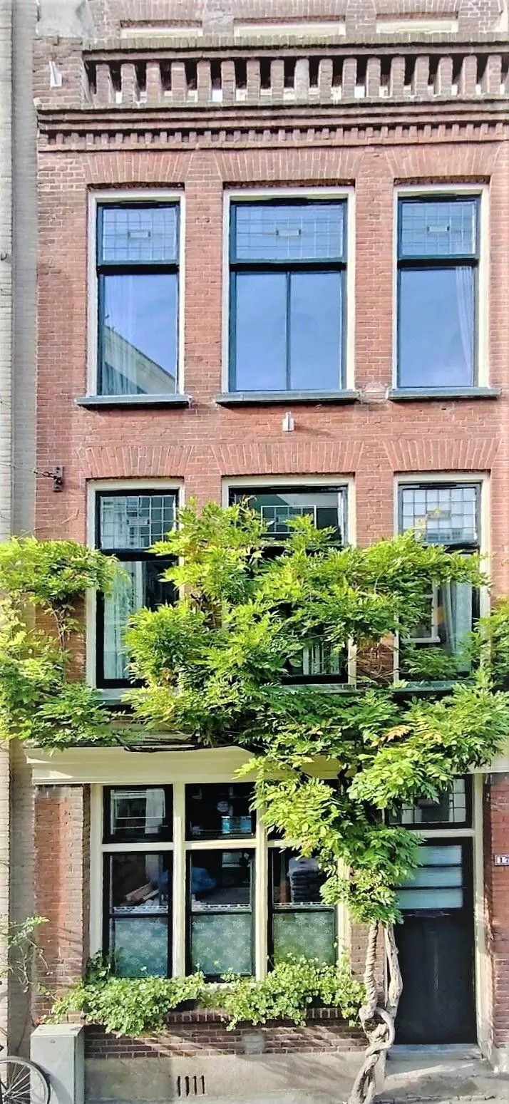 Foto #62 Huurwoning Egelantiersstraat Amsterdam