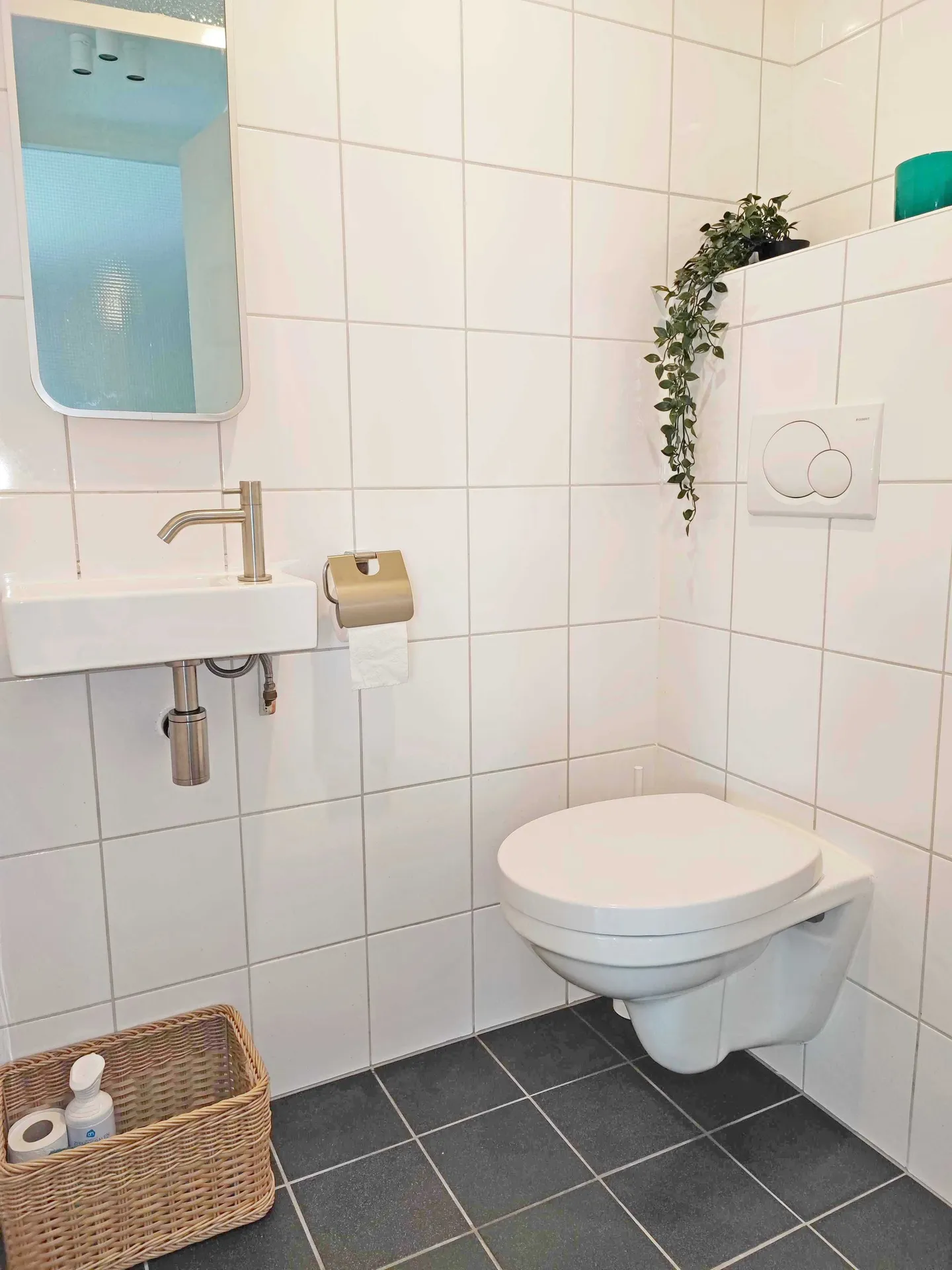 Foto #4 Appartement S.O.J. Palmelaan Groningen