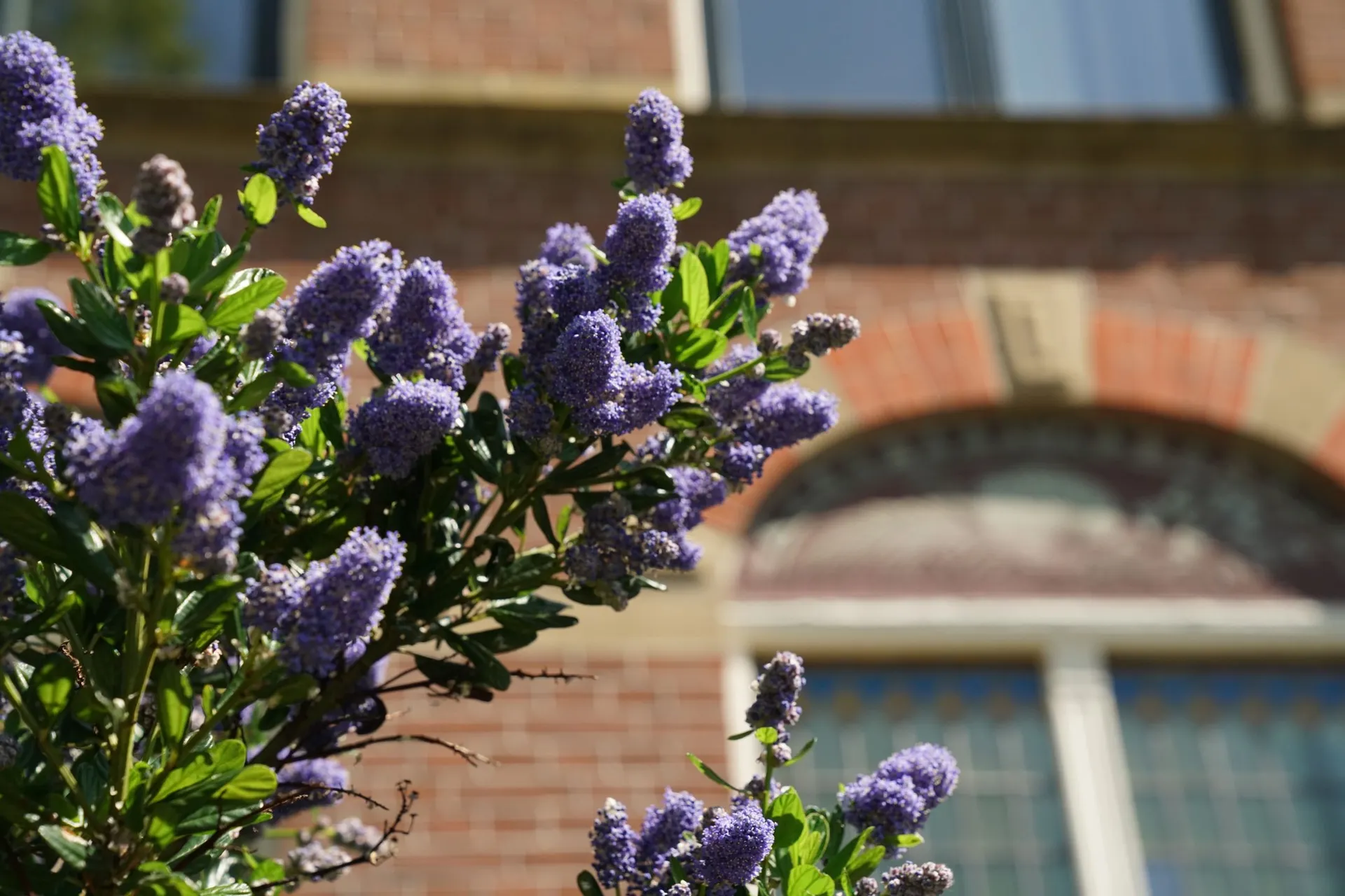 Foto #46 Huurwoning Nieuwe Plantage Delft