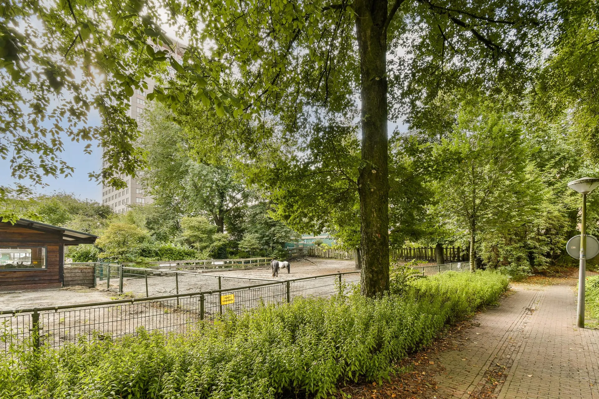 Foto #28 Appartement Lizzy Ansinghstraat Amsterdam