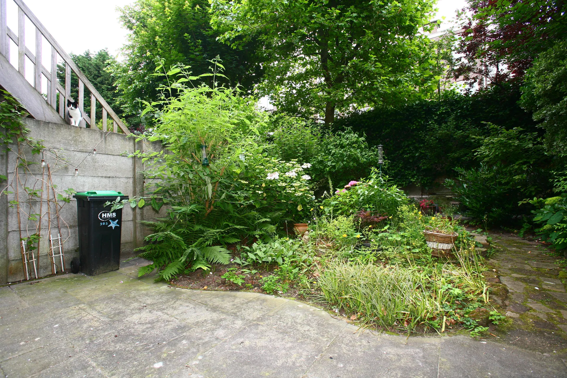 Foto #36 Huurwoning Obrechtstraat Den Haag
