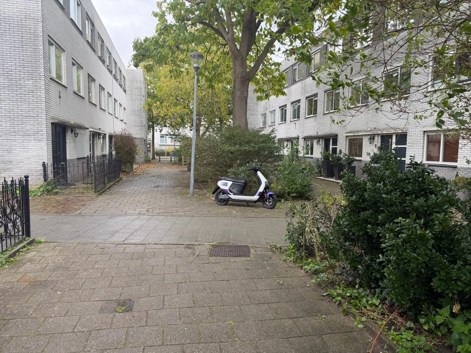 Foto #37 Huurwoning Dumontstraat Haarlem