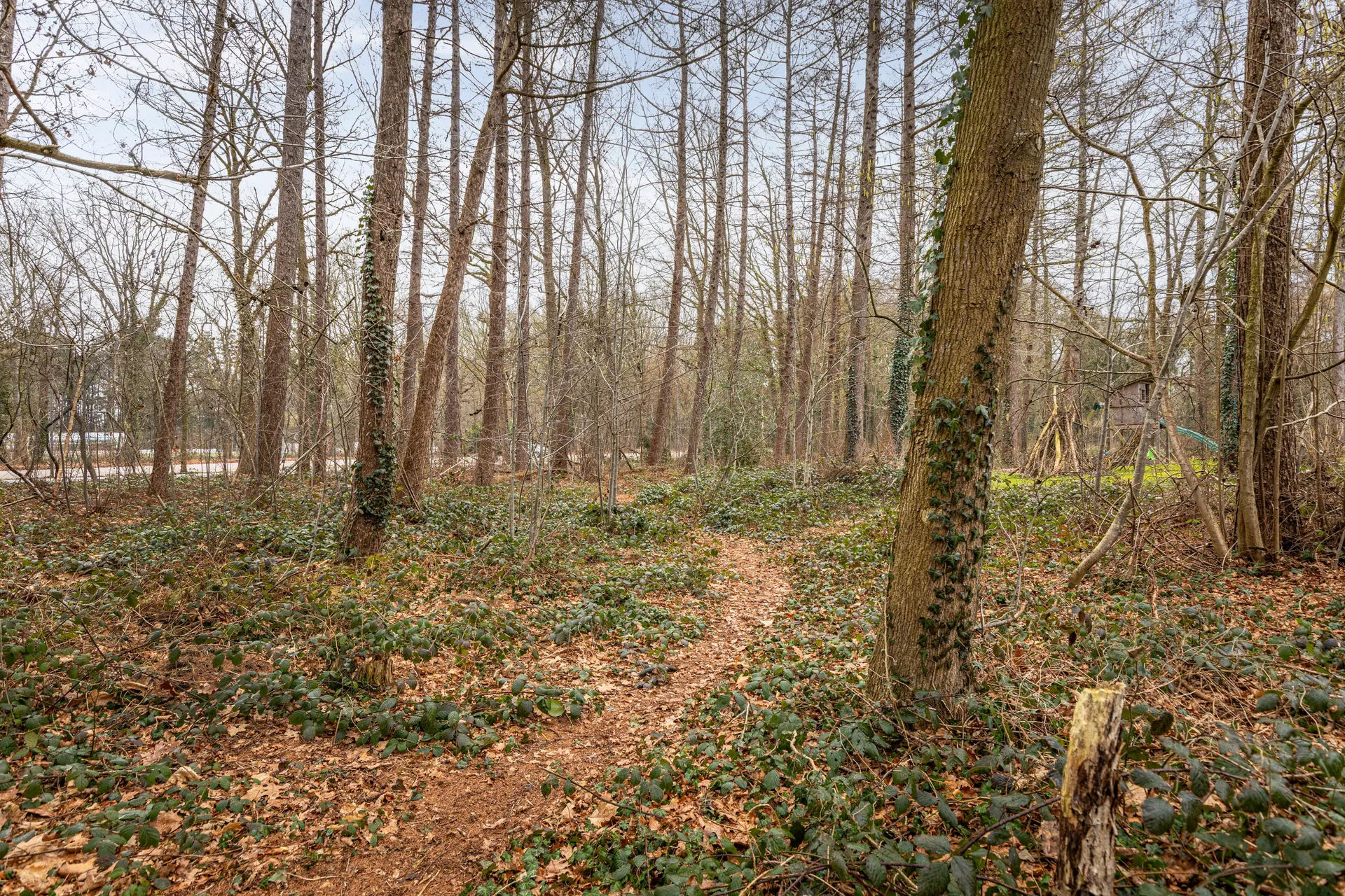 Foto #42 Huurwoning Heuvelweg Vlagtwedde