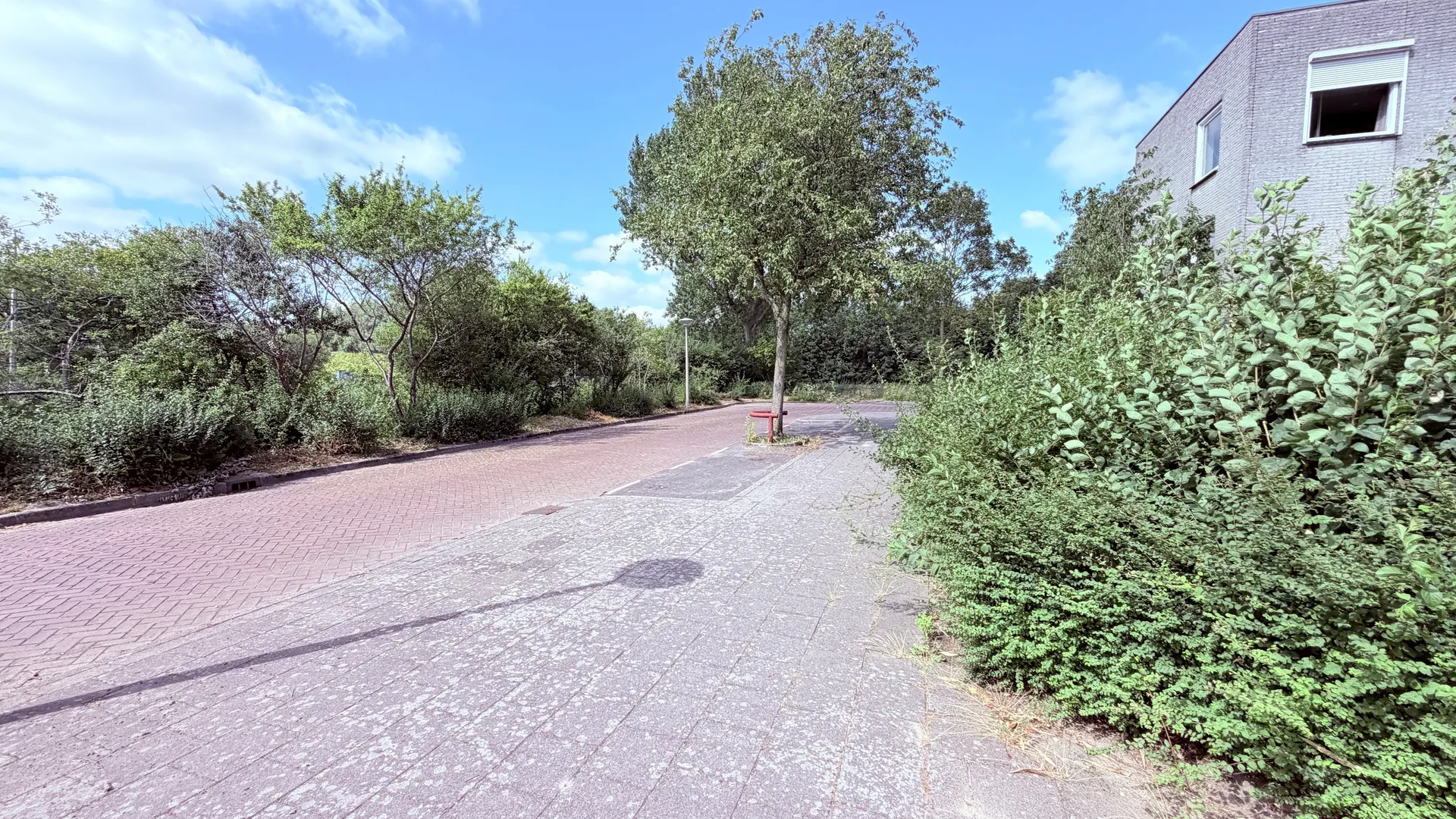 Foto #42 Huurwoning Catharina van Renneslaan Amstelveen