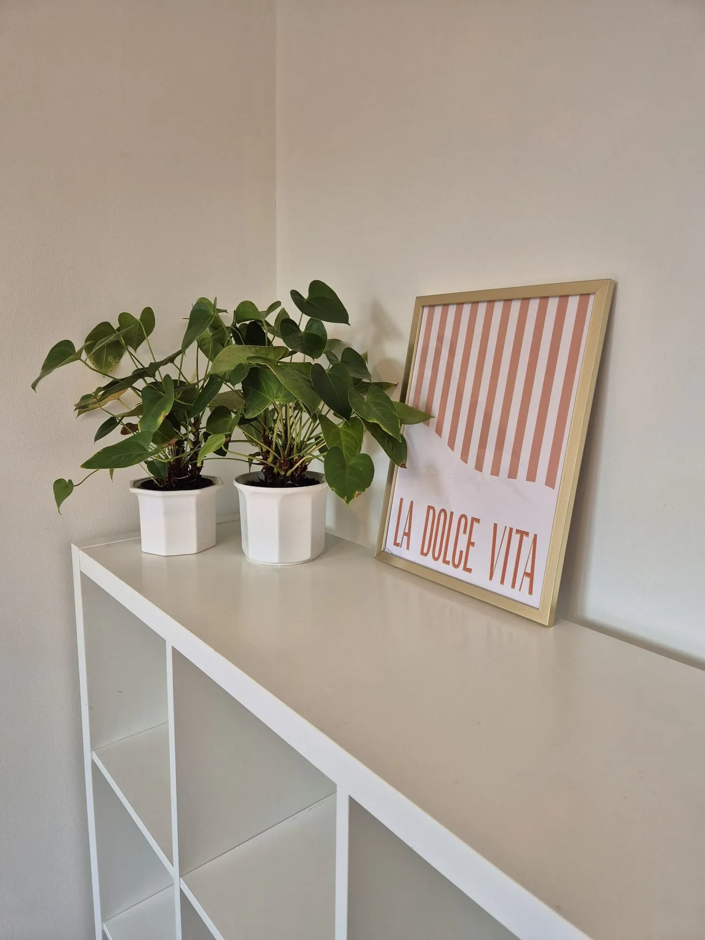 Foto #6 Appartement Zeelsterstraat Eindhoven