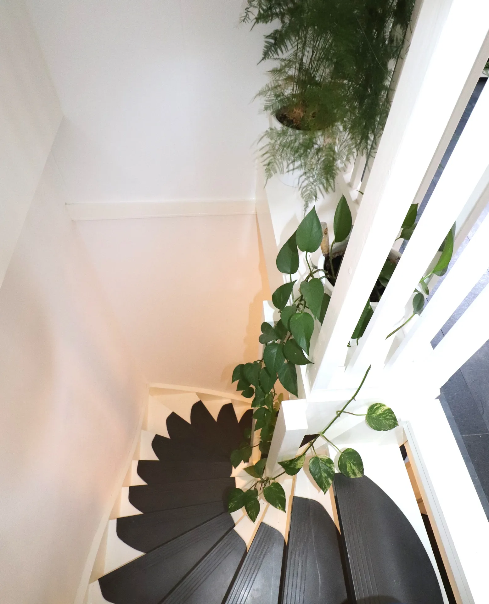 Foto #15 Huurwoning Dagobertstraat Sittard