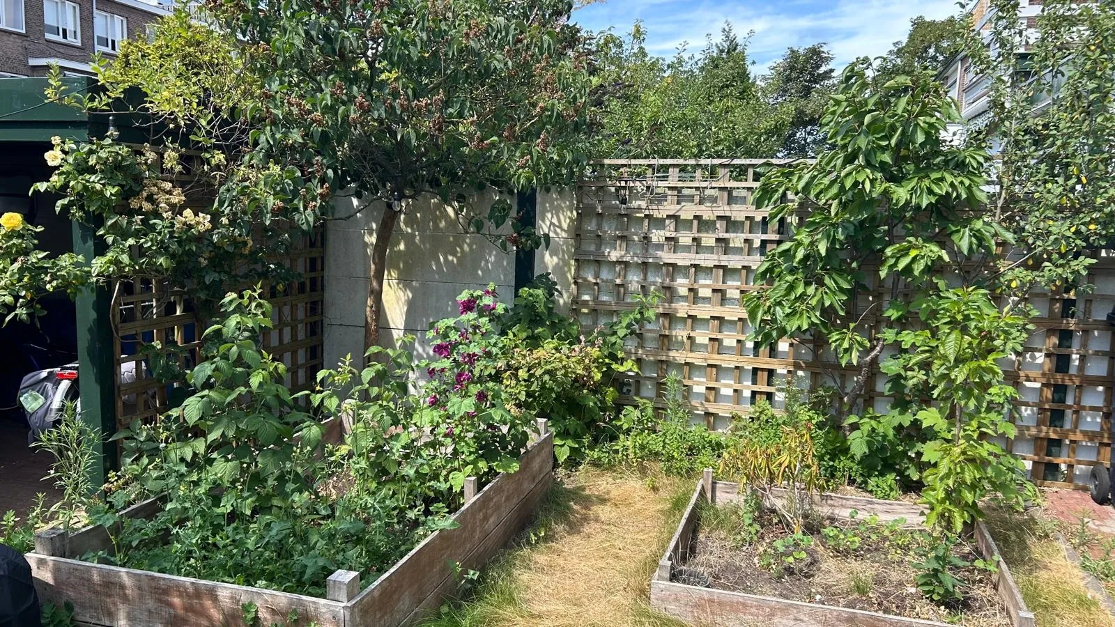 Foto #28 Huurwoning Lippe-Biesterfeldweg Den Haag