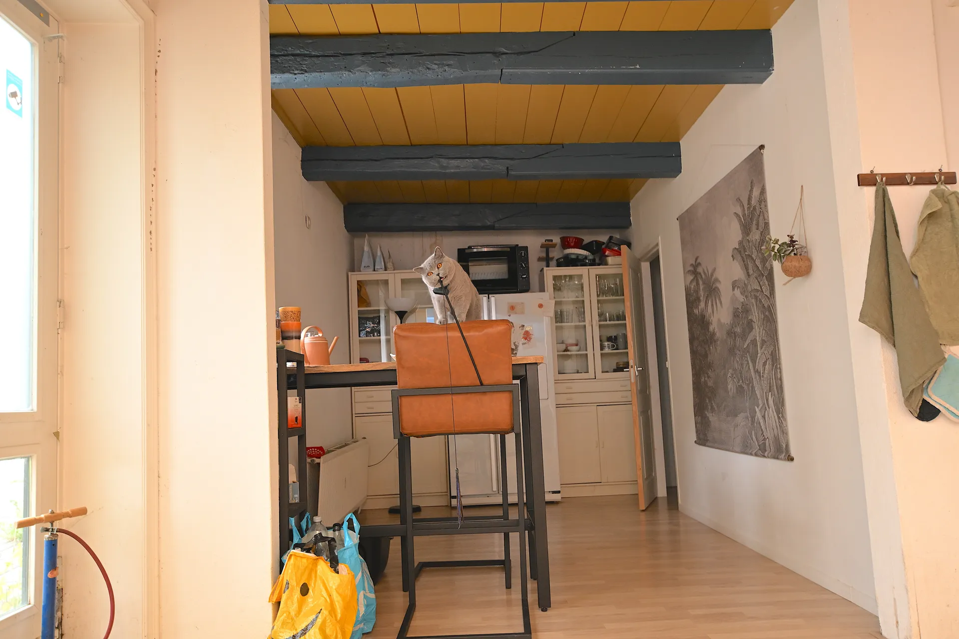 Foto #12 Appartement Timpweg Groningen