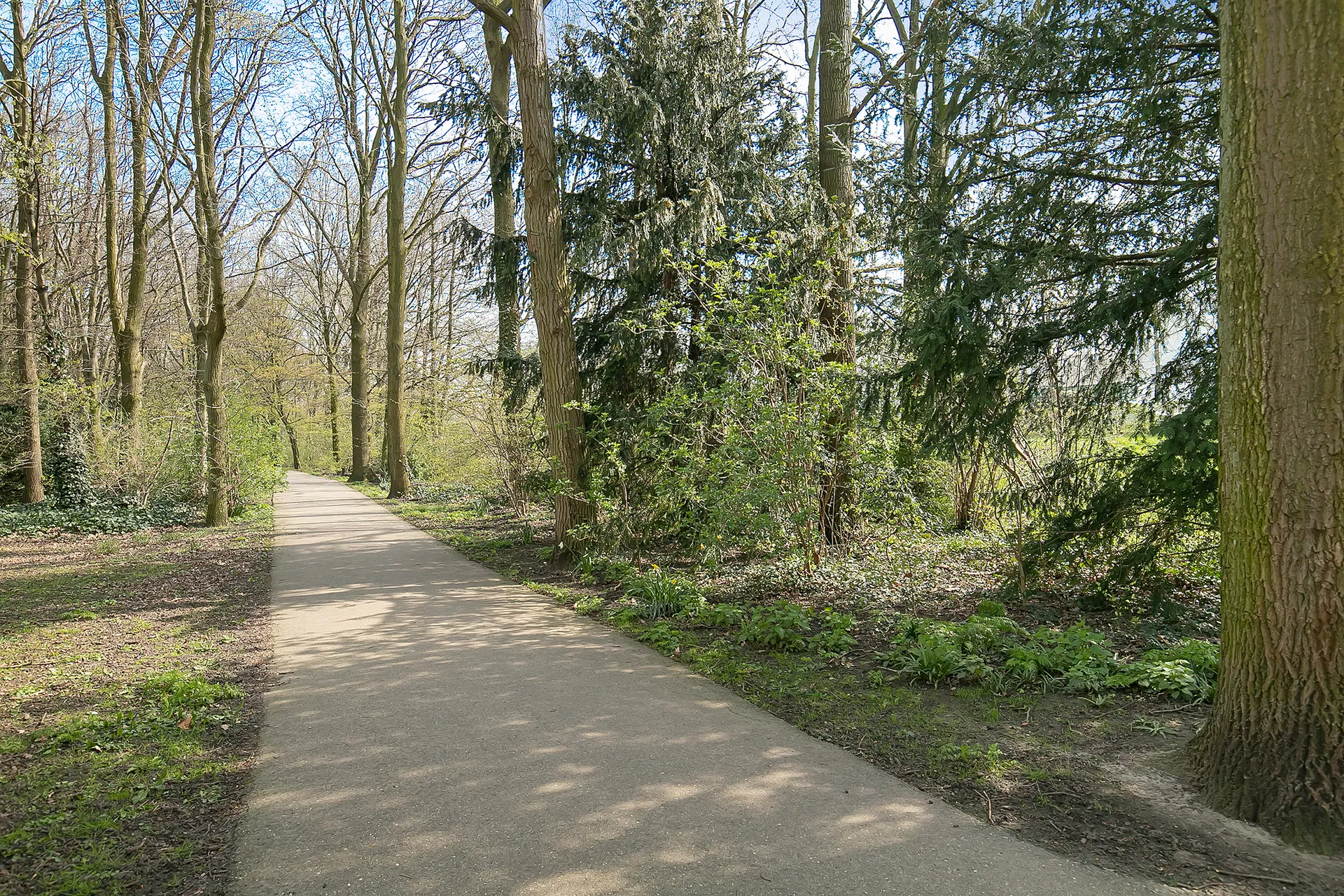 Foto #40 Appartement Julianalaan Schiedam