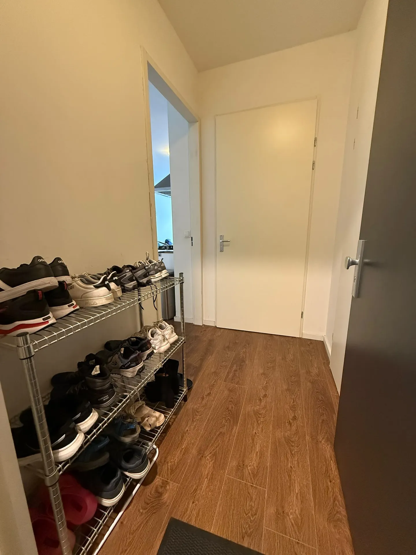 Foto #10 Appartement Spiraeastraat Eindhoven