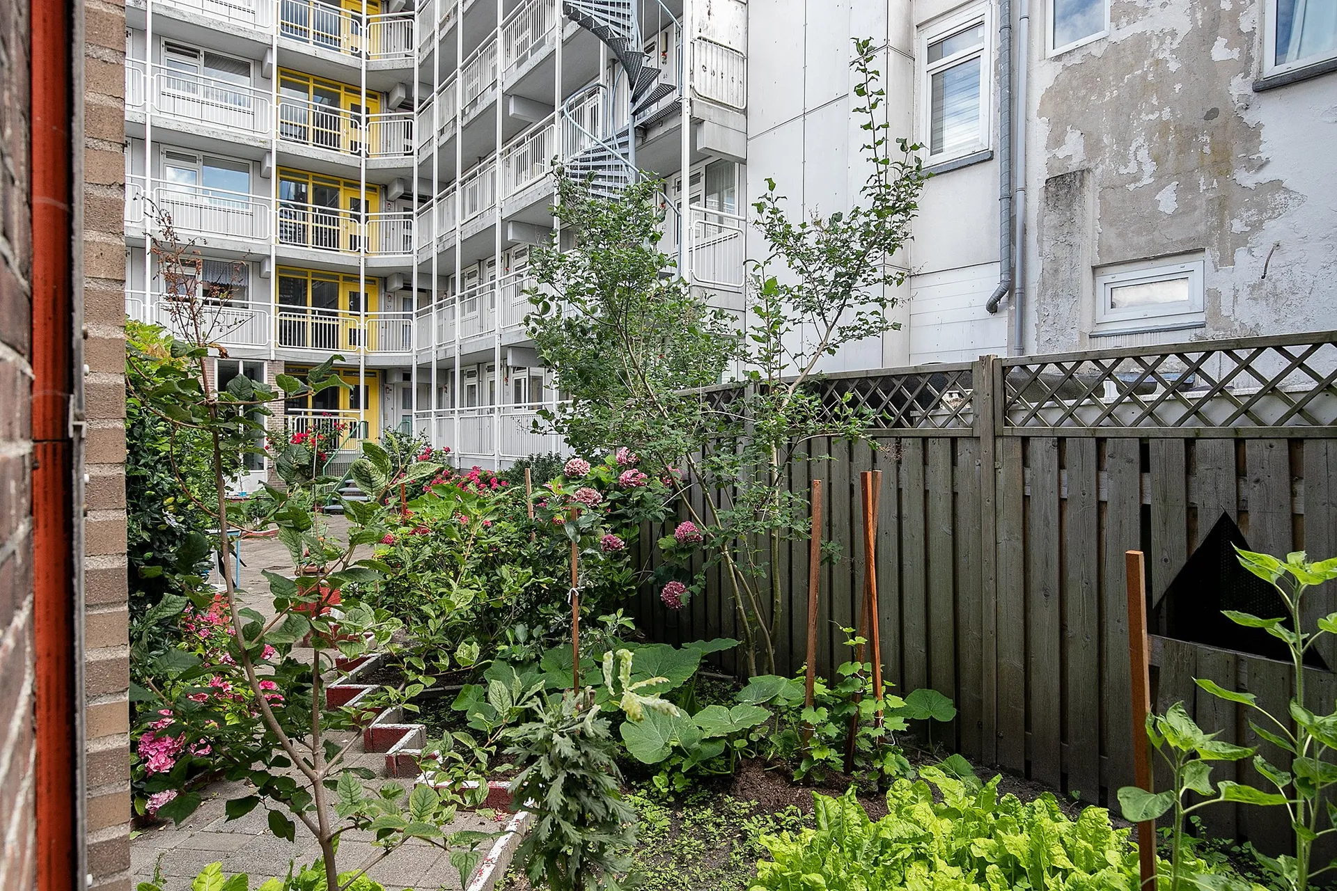 Foto #13 Appartement Zwederstraat Rotterdam