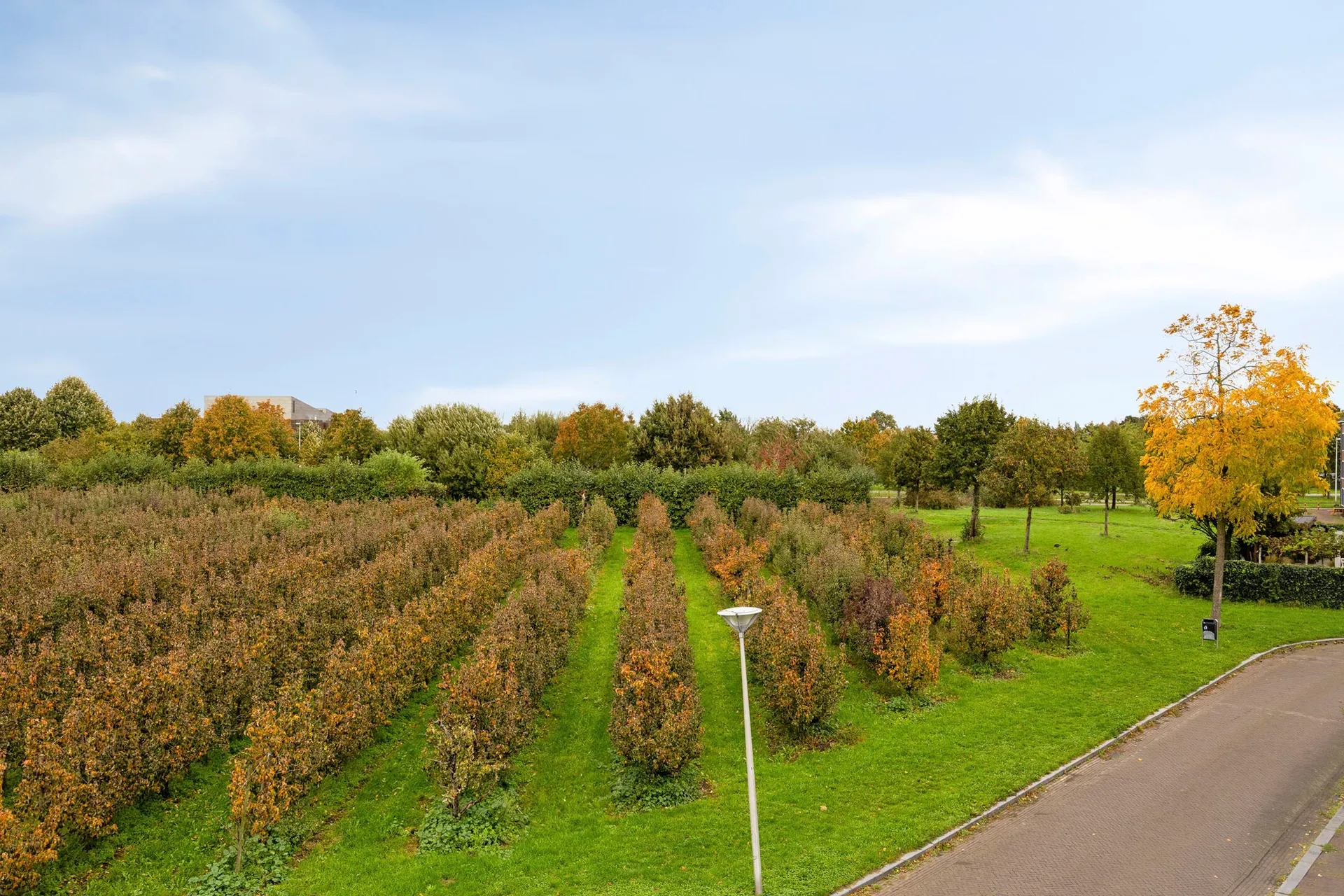 Foto #33 Huurwoning Gerrit Achterberglaan De Meern