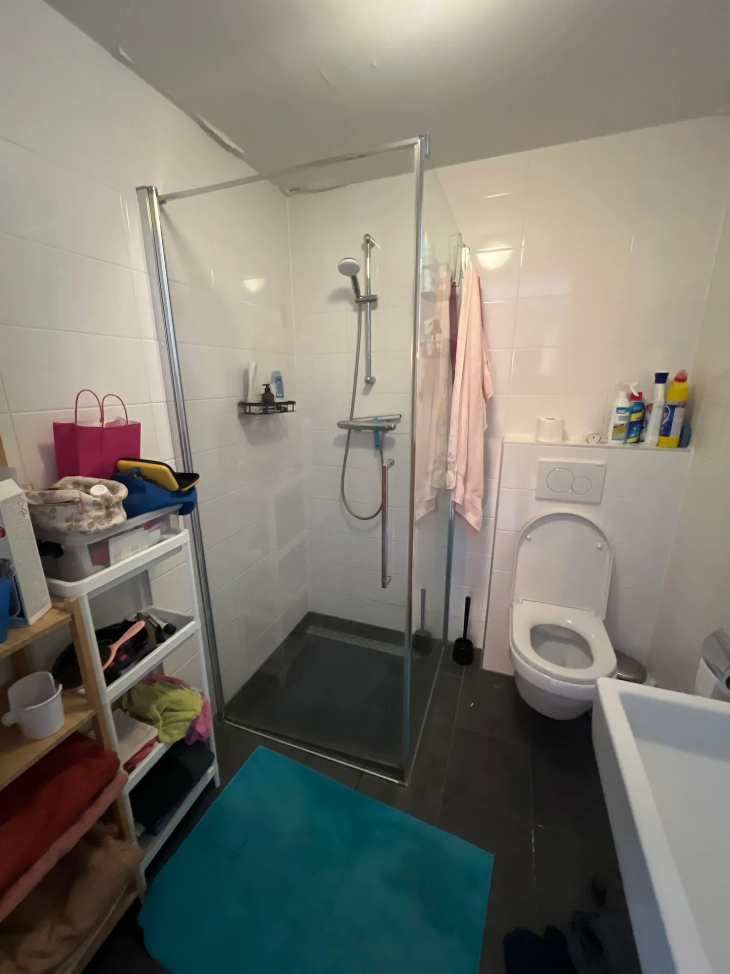 Foto #14 Huurwoning Kolkrijst Hoogland