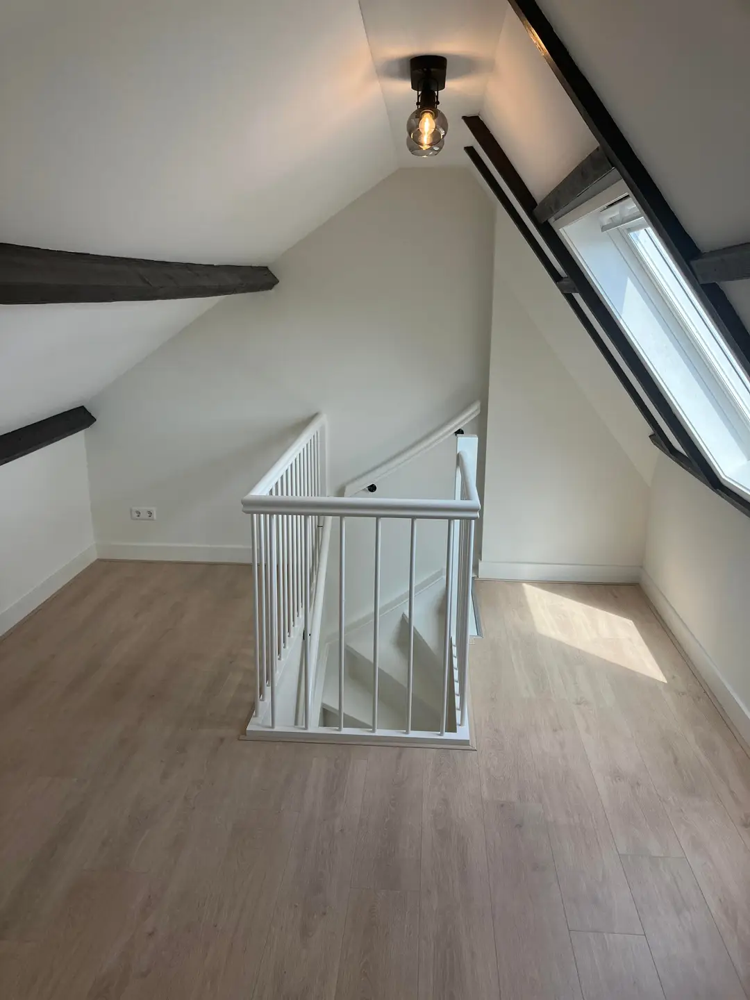 Foto #13 Appartement Minervalaan Amsterdam