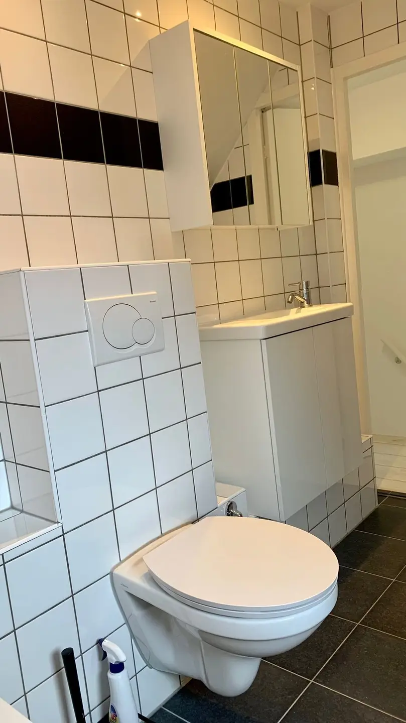Foto #29 Huurwoning Esdoornstraat Den Bosch