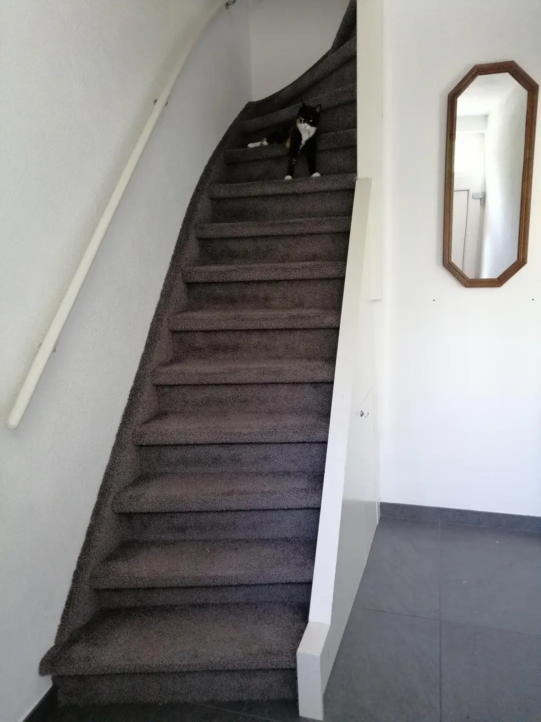 Foto #1 Huurwoning Bernard Zweerslaan Eindhoven