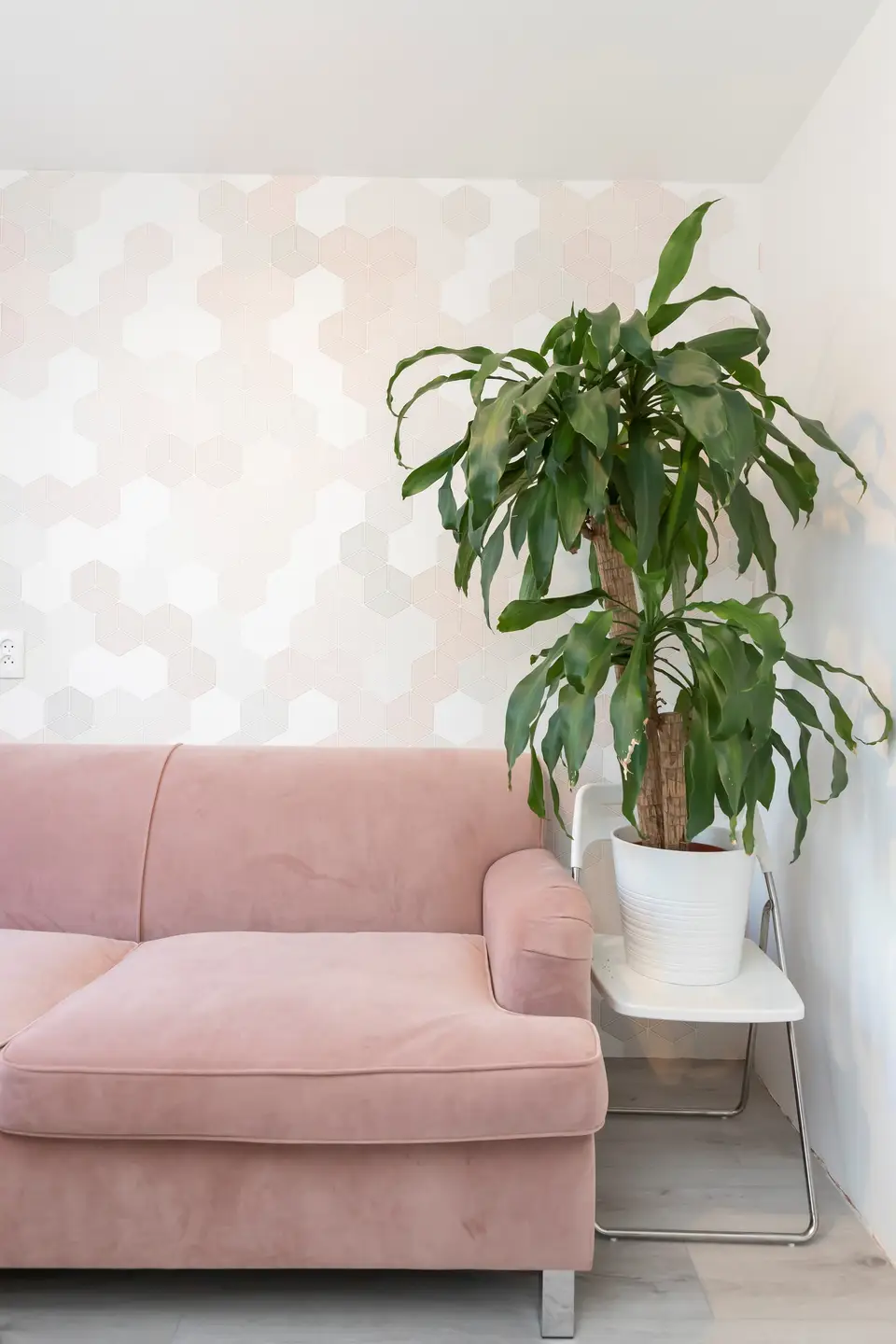 Foto #20 Appartement Pontanusstraat Amsterdam