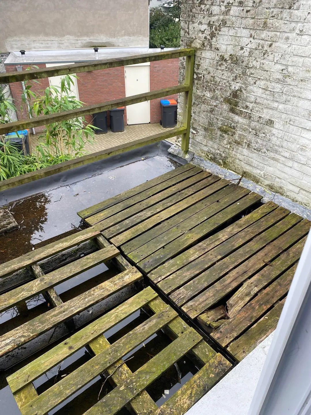 Foto #5 Kamer Korenbloemstraat Tilburg
