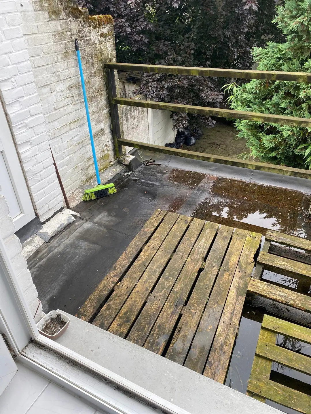 Foto #6 Kamer Korenbloemstraat Tilburg