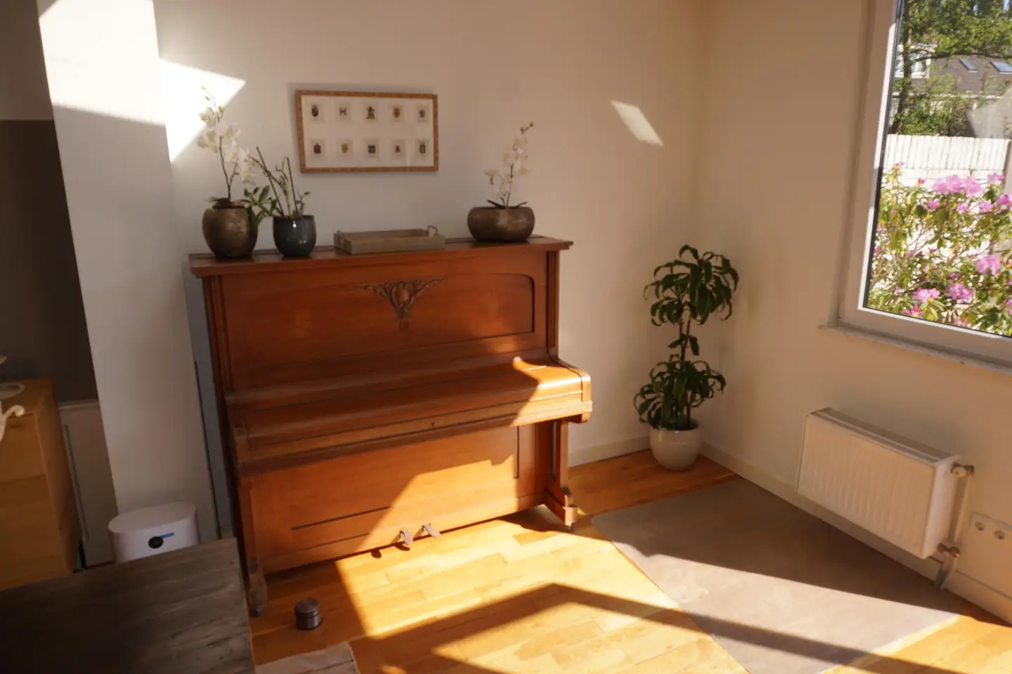 Foto #18 Huurwoning Hoge Rijndijk Leiden
