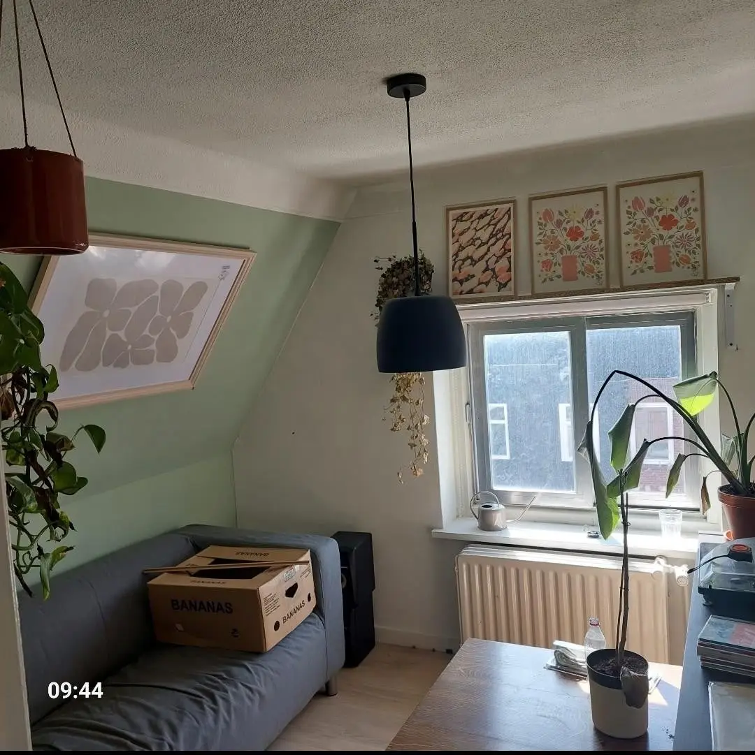 Foto #5 Kamer Prunusstraat Tilburg
