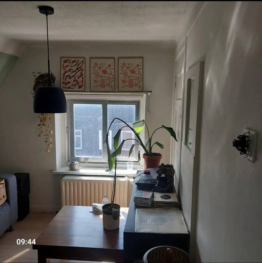 Foto #4 Kamer Prunusstraat Tilburg