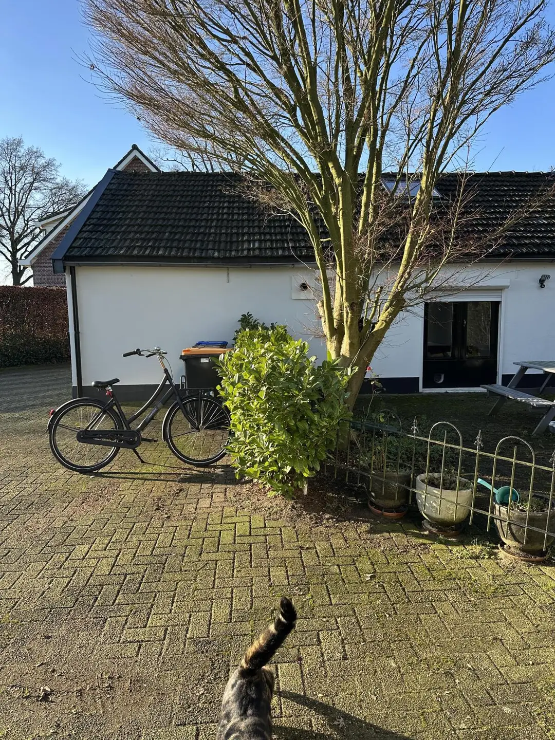 Foto #5 Huurwoning Grintweg Wageningen