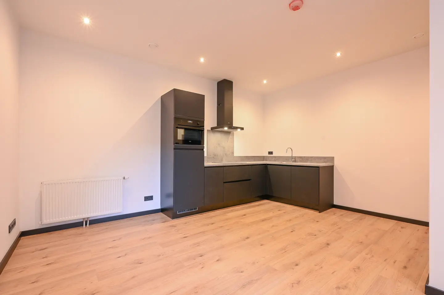 Foto #1 Appartement Repelaerstraat Den Haag