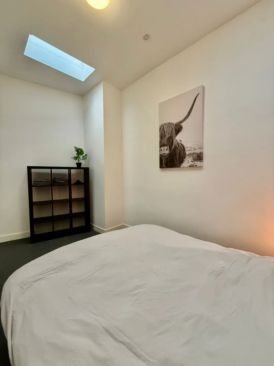 Foto #7 Appartement van der Palmstraat Rotterdam