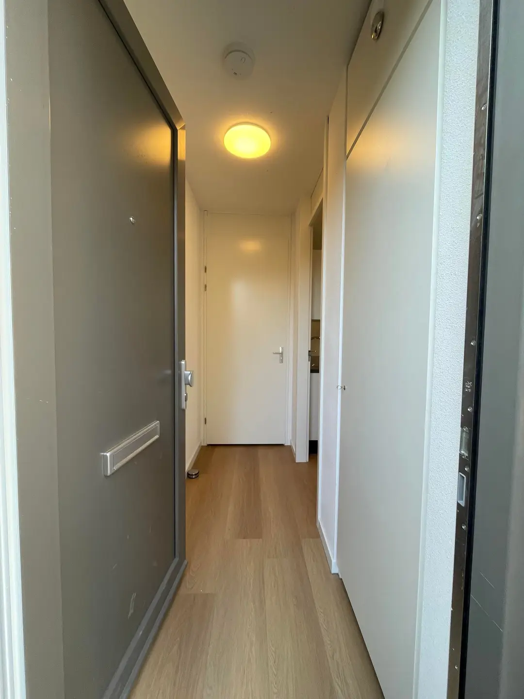 Foto #3 Appartement Kneppelhoutstraat Eindhoven