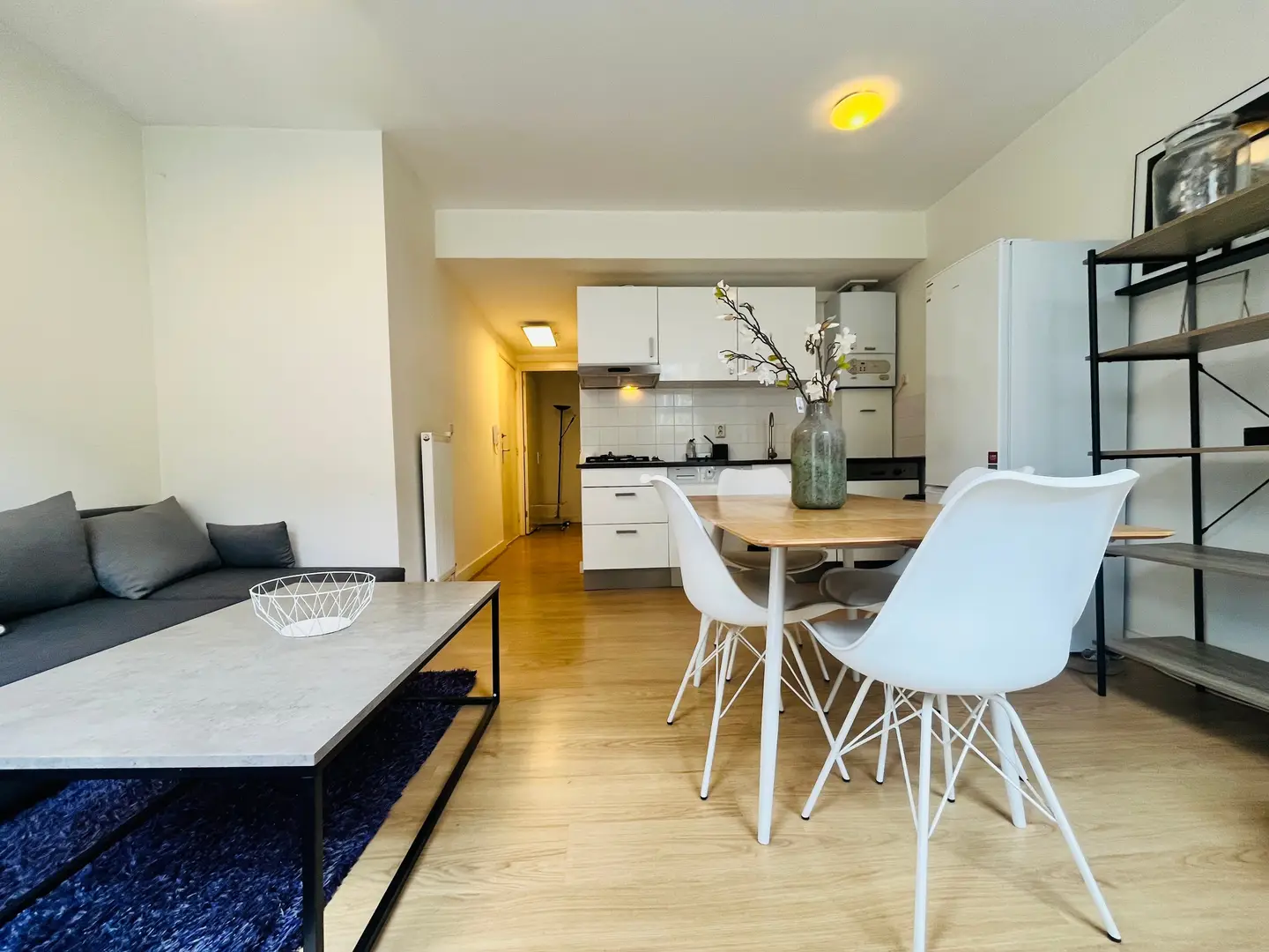 Foto #3 Appartement Bilderdijkstraat Den Haag
