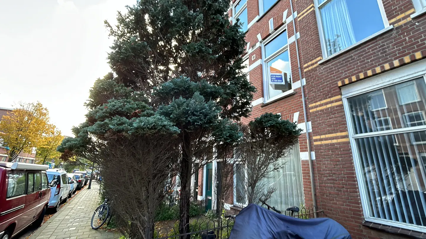 Foto #5 Studio Herschelstraat Den Haag