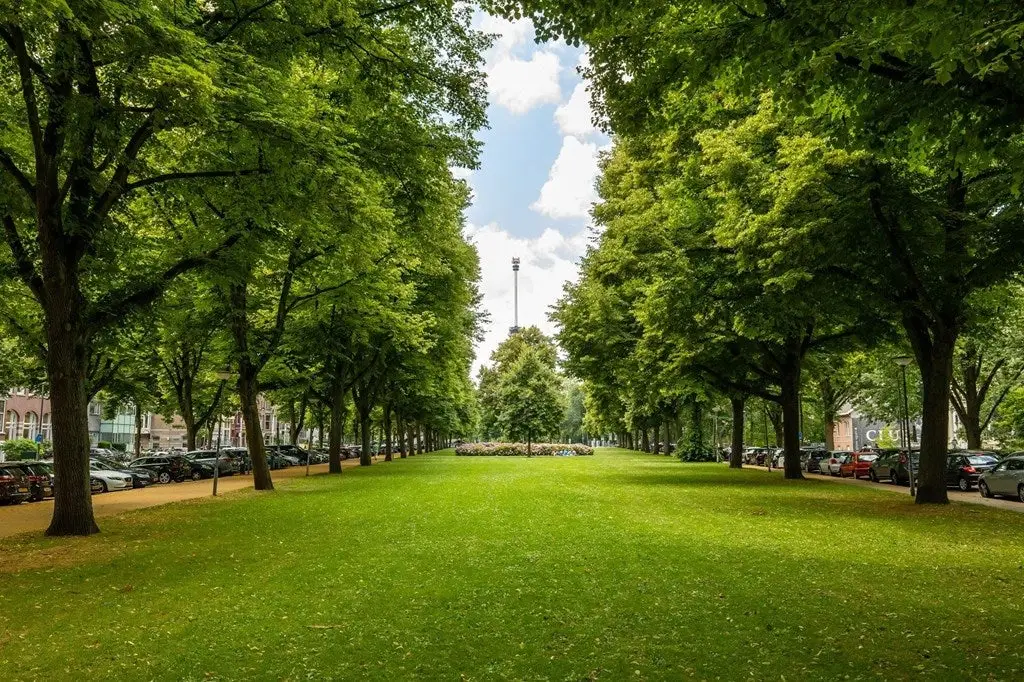 Foto #25 Appartement Zeemansstraat Rotterdam