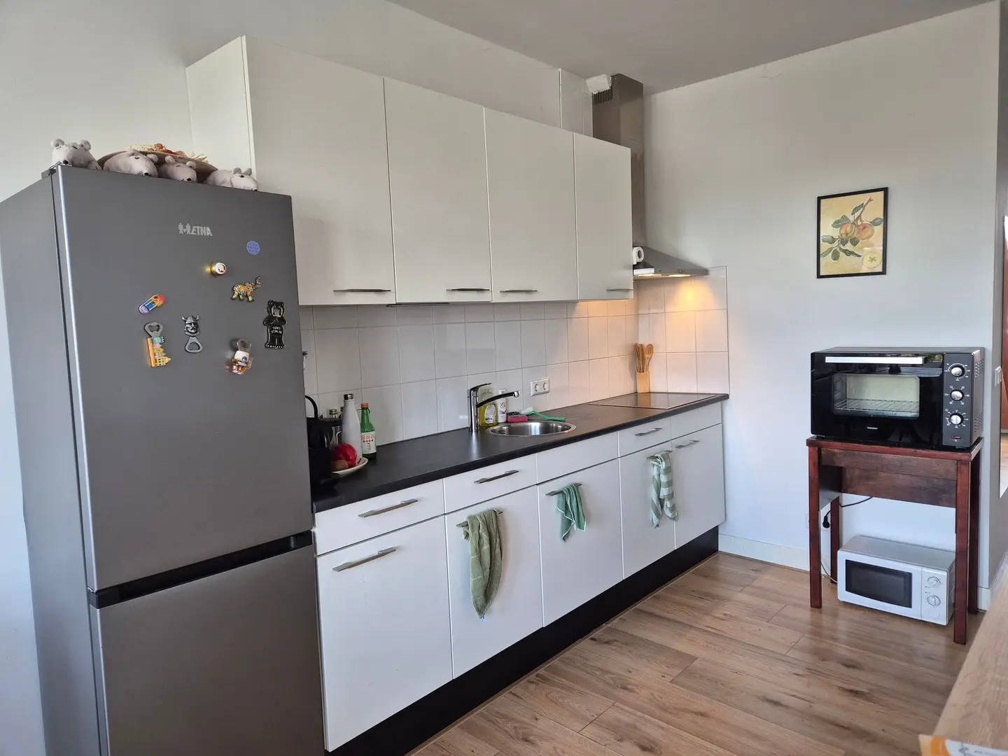 Foto #6 Appartement Hollandsestraat Rotterdam