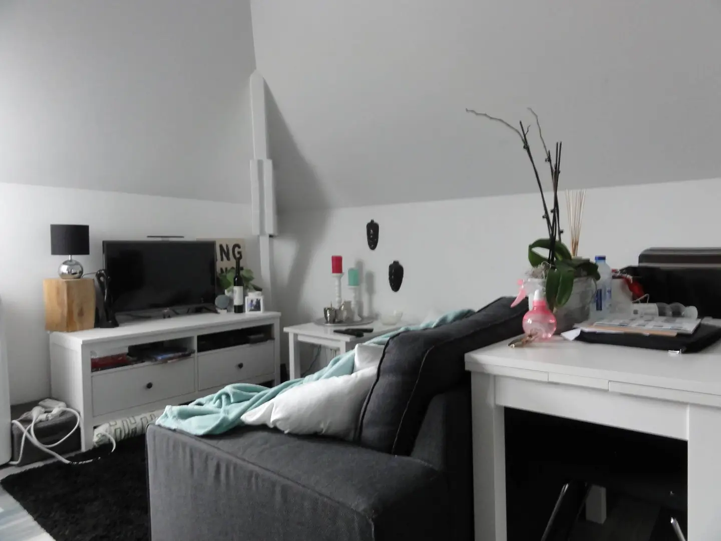 Foto #1 Appartement St. Willibrordusstraat Den Bosch