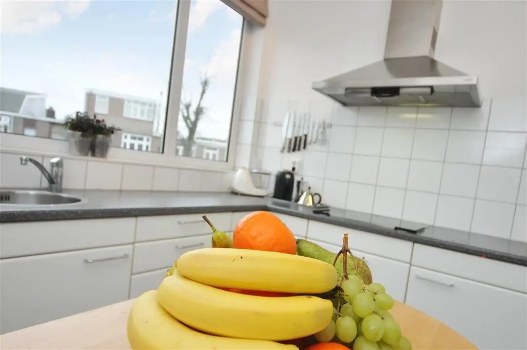 Foto #10 Appartement Leeuwendaallaan Rijswijk