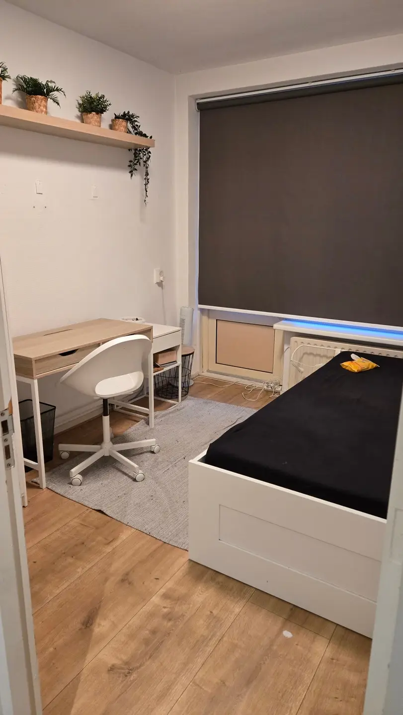 Foto #7 Appartement Bredenoord Rotterdam