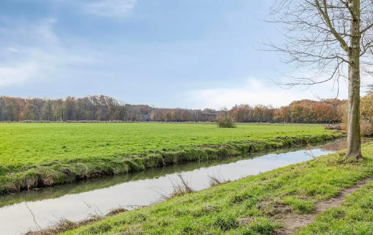 Foto #36 Huurwoning Rollandslaan Haarlem