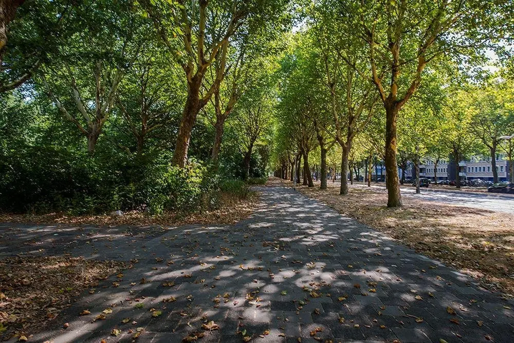 Foto #12 Appartement Van Nijenrodeweg Amsterdam