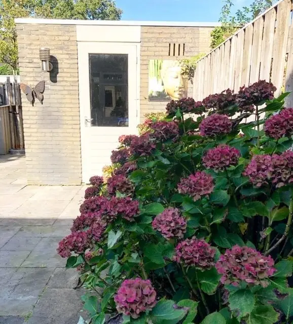 Foto #26 Huurwoning Brahmslaan Helmond