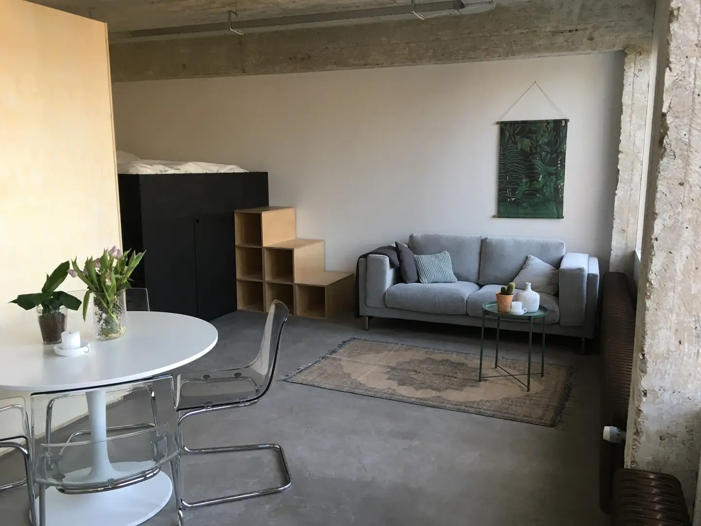 Foto #7 Appartement Professor Pieter Willemsstraat Maastricht