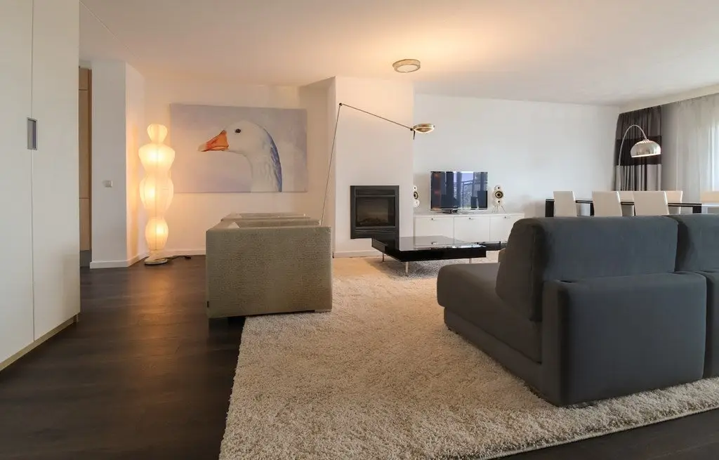 Foto #1 Appartement Pieter de Hoochstraat Amsterdam