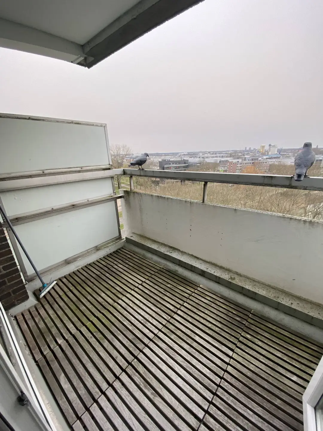 Foto #9 Appartement Limburglaan Eindhoven