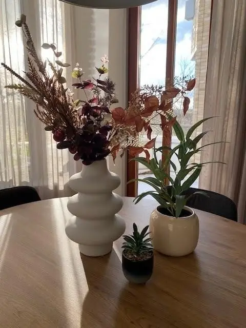 Foto #18 Appartement Voltastraat Maastricht