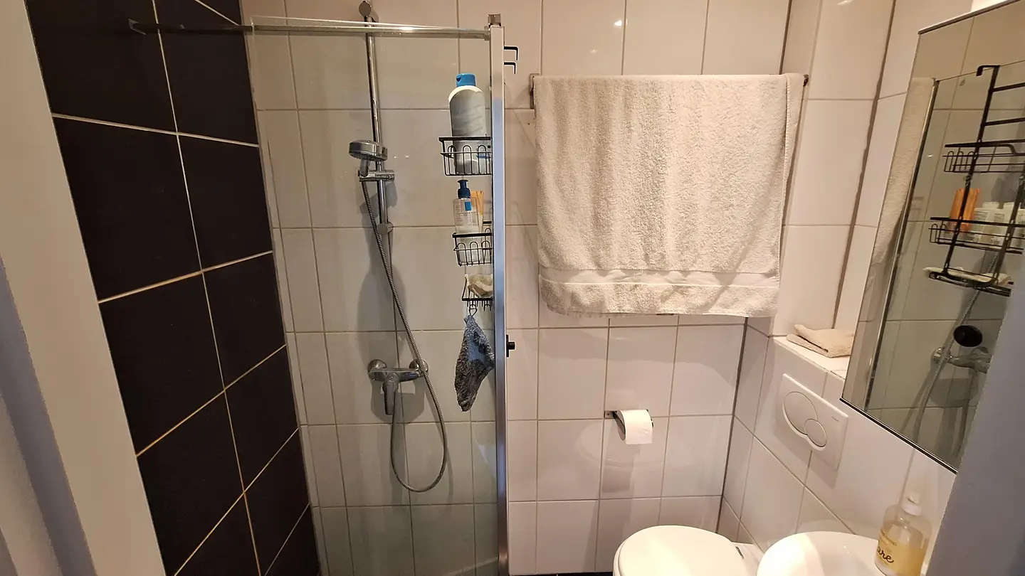 Foto #8 Appartement Plantage Muidergracht Amsterdam