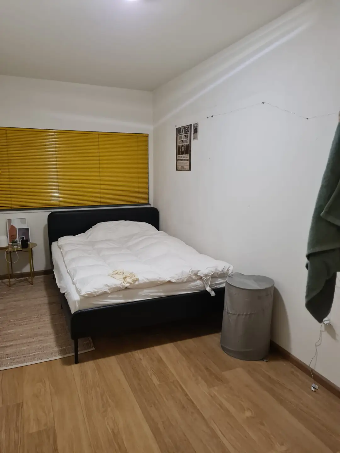 Foto #8 Appartement Puck van Heelstraat Rotterdam