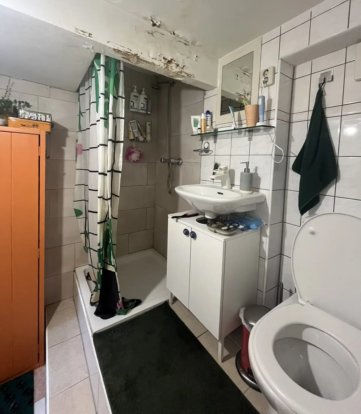 Foto #8 Appartement Tulpstraat Utrecht