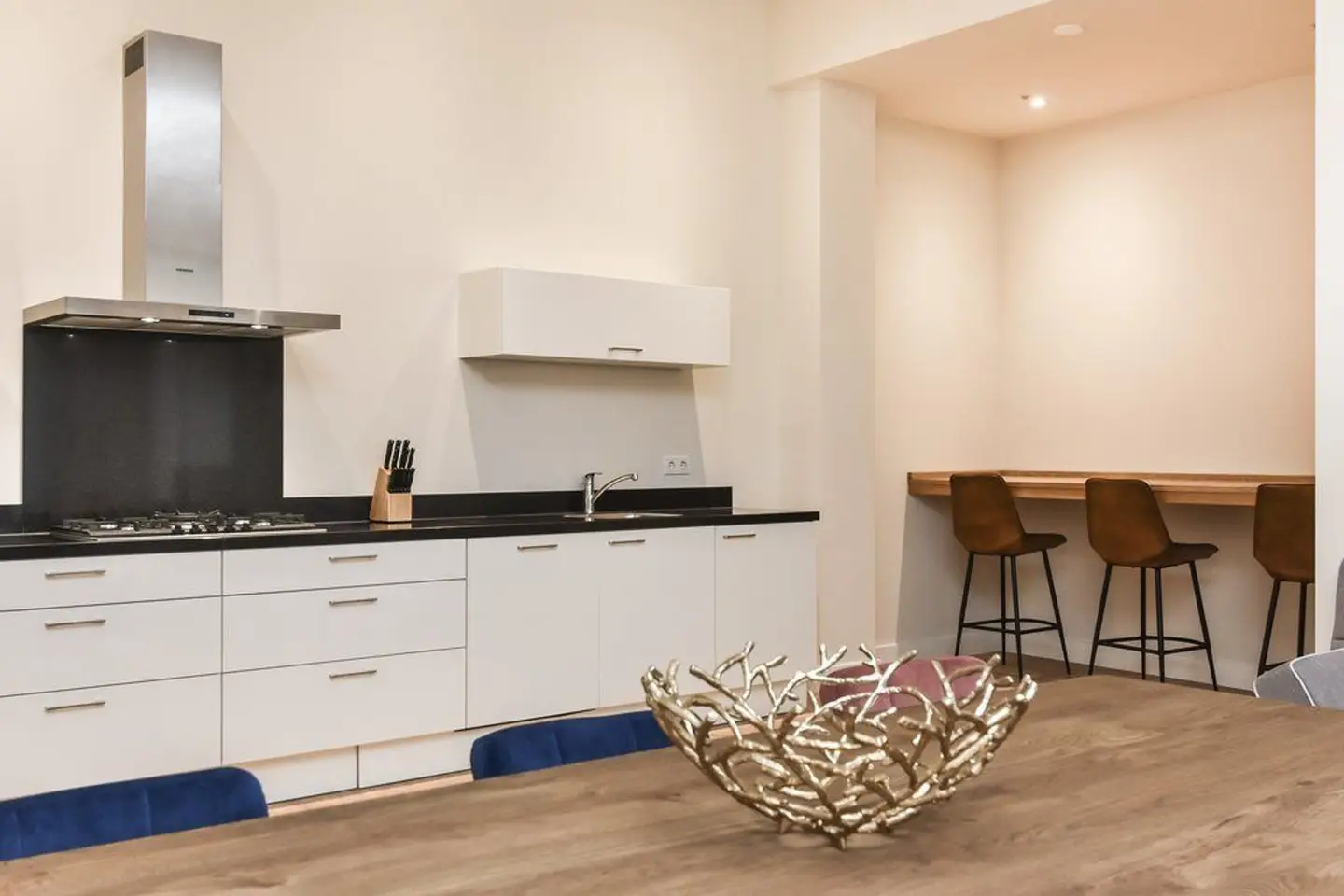 Foto #14 Appartement Bagijnestraat Den Haag