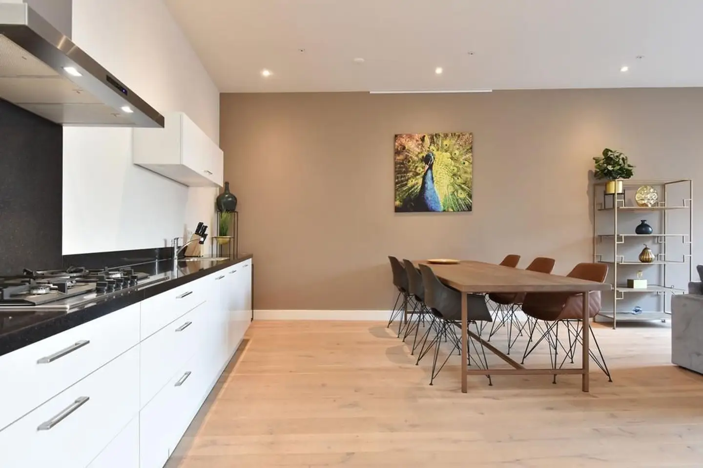 Foto #11 Appartement Bagijnestraat Den Haag